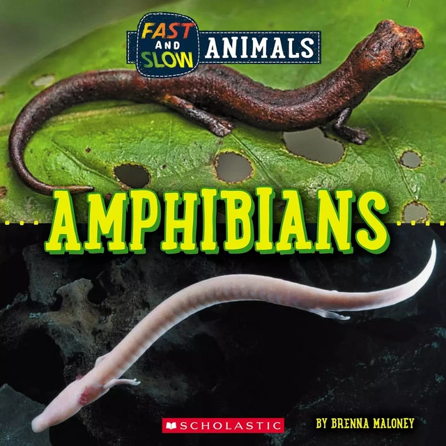 Amphibians (Wild World: Fast and Slow Animals) - Brenna Maloney - Scholastic Inc.