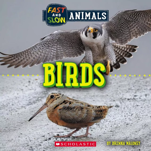 Birds (Wild World: Fast and Slow Animals) - Brenna Maloney - Scholastic Inc.