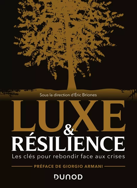 Luxe et résilience - Eric Briones (dit Darkplanneur) - Dunod