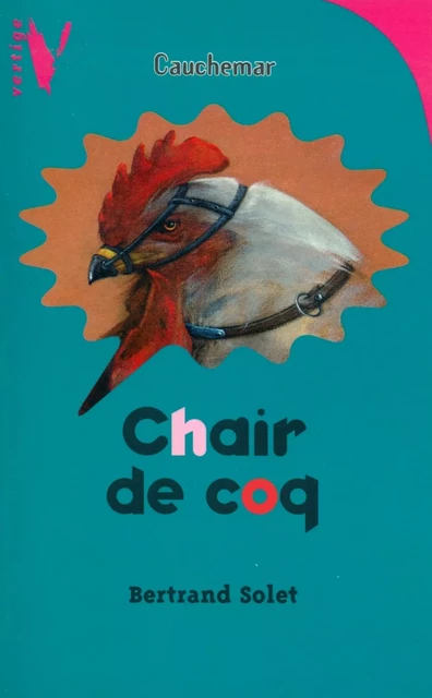 Chair de coq - Bertrand Solet - Hachette Romans