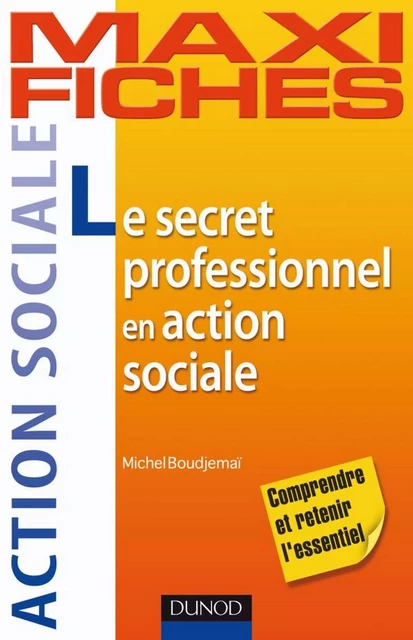 Maxi fiches. Le secret professionnel en action sociale - Michel Boudjemaï - Dunod