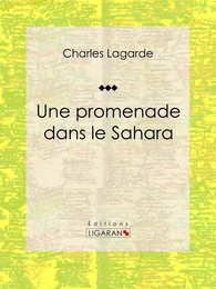 Une promenade dans le Sahara