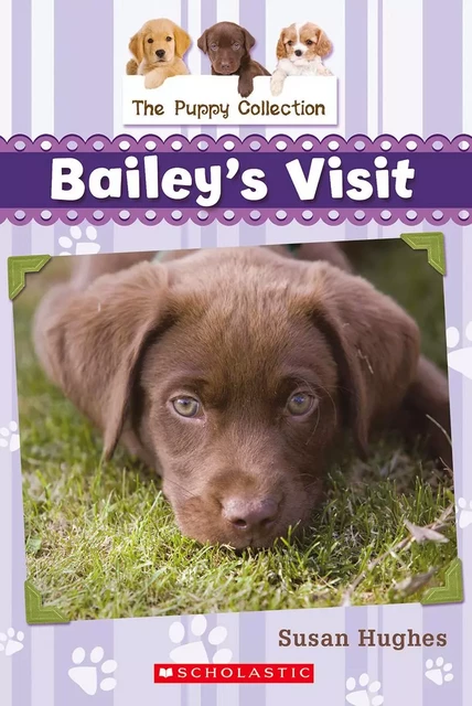 The Puppy Collection #1: Bailey's Visit - Susan Hughes - Scholastic Canada Ltd