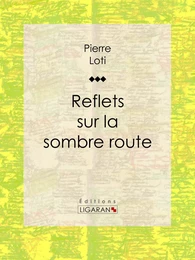 Reflets sur la sombre route