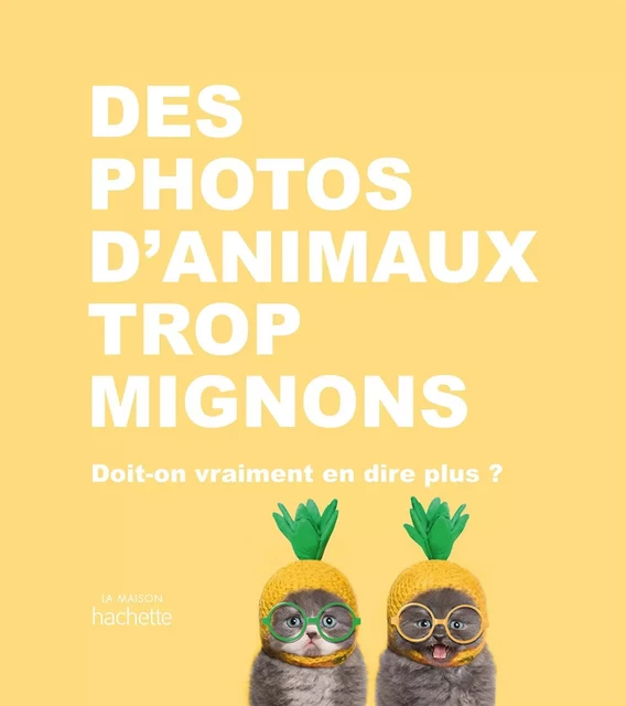 Des photos d'animaux trop mignons -  Collectif - Hachette Pratique