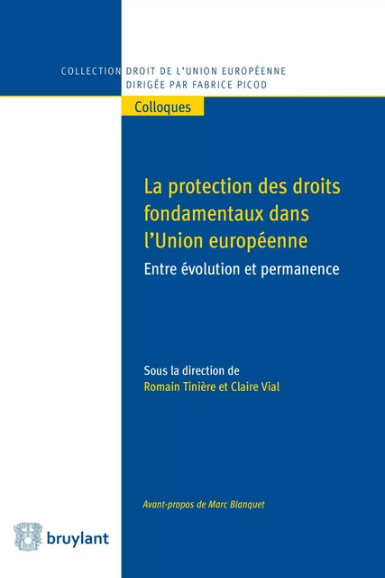 Protection des droits fondamentaux dans l'union Européenne -  - Bruylant