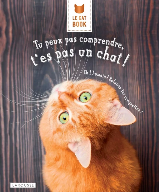 Tu peux pas comprendre, t'es pas un chat - Aurélie Lemoine, Alice Zabée - Larousse