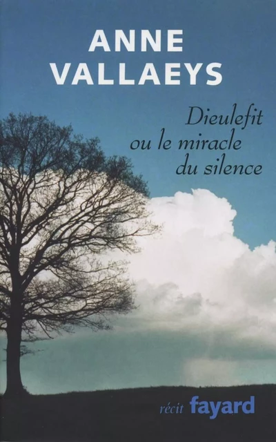 Dieulefit ou le miracle du silence - Anne Vallaeys - Fayard