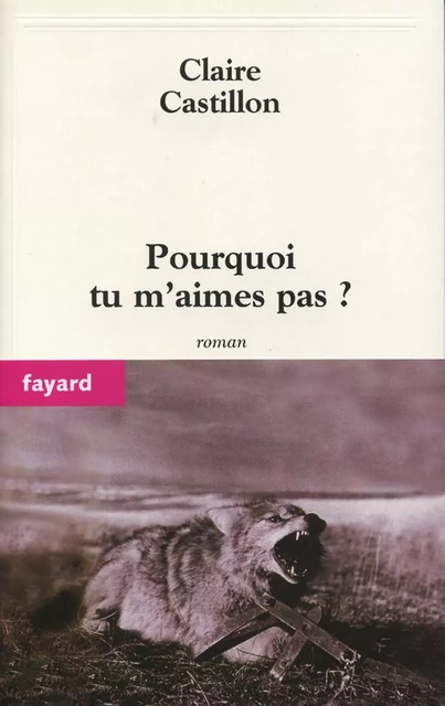 Pourquoi tu m'aimes pas ? - Claire Castillon - Fayard