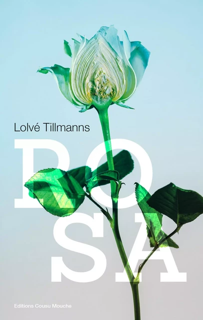 Rosa - Lolvé Tillmanns - Cousu Mouche