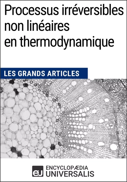 Processus irréversibles non linéaires en thermodynamique -  Encyclopaedia Universalis - Encyclopaedia Universalis