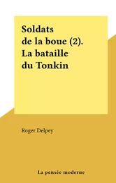 Soldats de la boue (2). La bataille du Tonkin