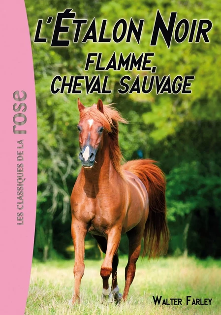 L'Étalon Noir 10 - Flamme, cheval sauvage - Walter Farley - Hachette Jeunesse