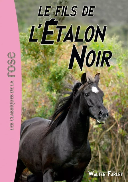 L'étalon noir 04 - Le fils de l'Étalon Noir - Walter Farley - Hachette Jeunesse