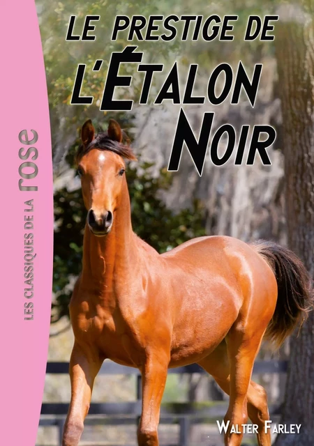 L'Étalon Noir 08 - Le prestige de l'Étalon Noir - Walter Farley - Hachette Jeunesse