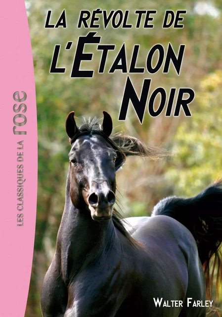 L'Étalon Noir 06 - La révolte de l'Étalon Noir - Walter Farley - Hachette Jeunesse