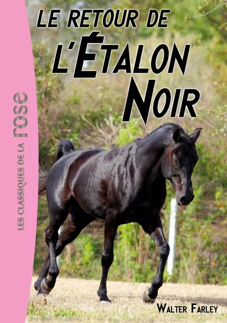 L'étalon Noir 02 - Le retour de l'Étalon Noir - Walter Farley - Hachette Jeunesse