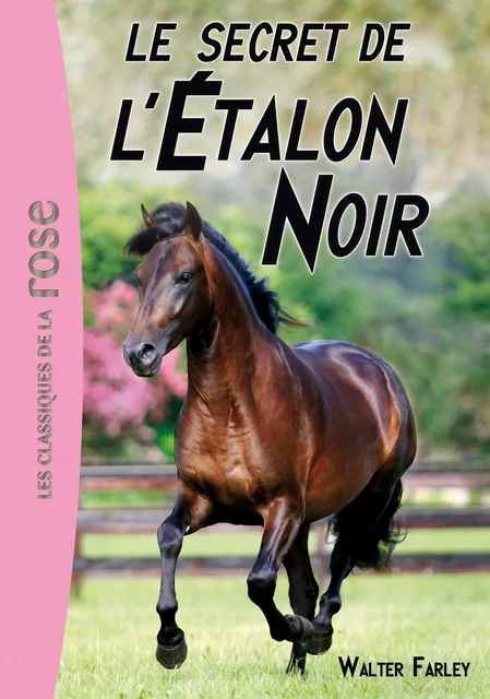 L'Étalon Noir 09 - Le secret de l'Étalon Noir - Walter Farley - Hachette Jeunesse