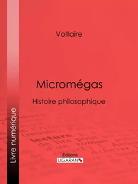 Micromégas