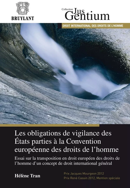 Les obligations de vigilance des États parties à la Convention européenne des droits de l'homme - Hélène Tran - Bruylant