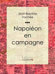 Napoléon en campagne