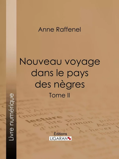 Nouveau voyage dans le pays des nègres - Anne Raffenel,  Ligaran - Ligaran