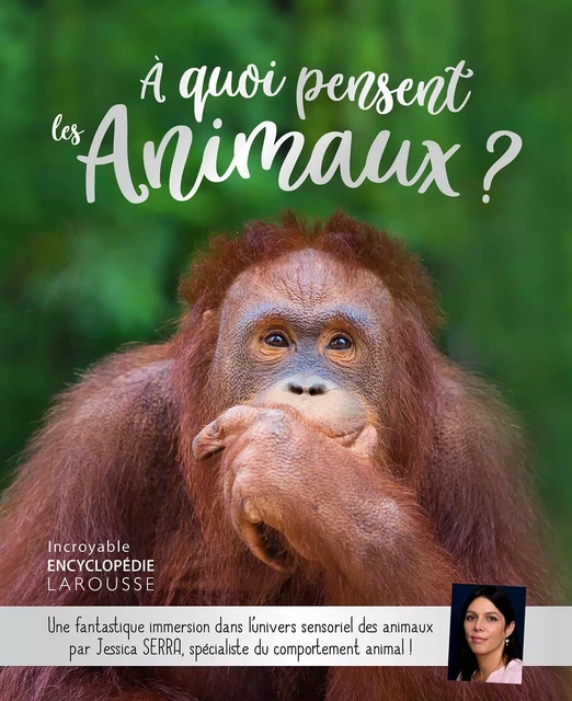 Le grand livre de l'intelligence animale - Jessica Serra - Larousse