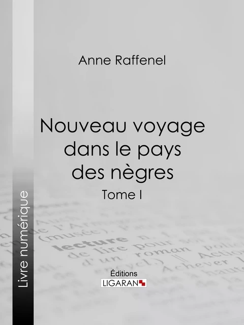 Nouveau voyage dans le pays des nègres - Anne Raffenel,  Ligaran - Ligaran