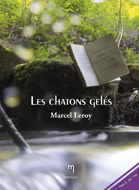 Les chatons gelés - Marcel Leroy - Memory