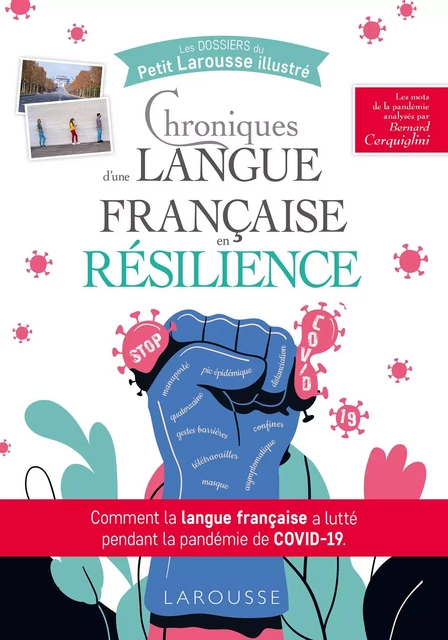 Chroniques d'une langue française en résilience - Bernard Cerquiglini - Larousse