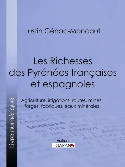 Les Richesses des Pyrénées françaises et espagnoles - Justin Cénac-Moncaut,  Ligaran - Ligaran