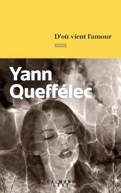 D'où vient l'amour - Yann Queffélec - Calmann-Lévy