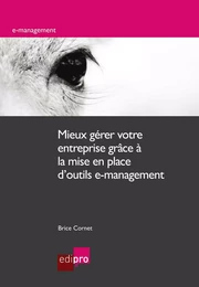 Mieux gérer votre entreprise grâce à la mise en place d'outils e-management