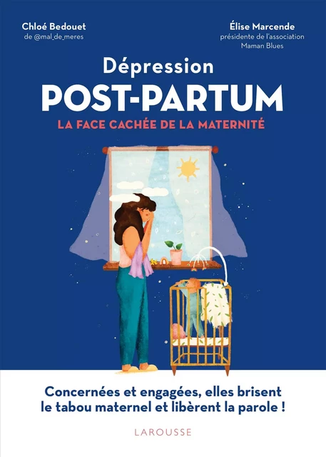 Dépression Post-Partum : la face cachée de la maternité - Chloé Bedouet, Elise Marcende - Larousse