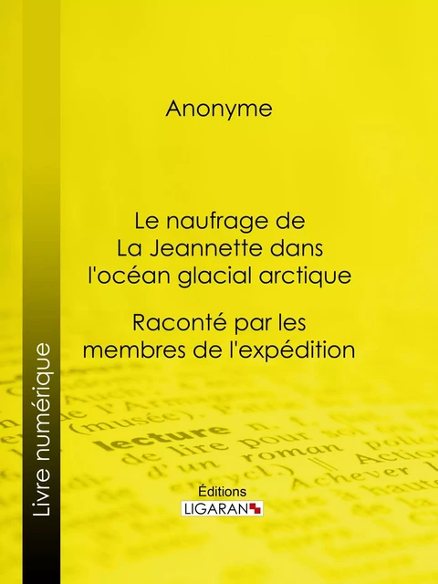 Le naufrage de La Jeannette dans l'océan glacial arctique -  Anonyme,  Ligaran - Ligaran