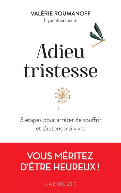 Adieu tristesse - Valérie Roumanoff - Larousse