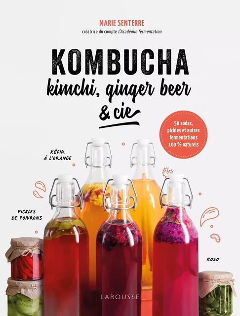 Kombucha, kimchi, ginger beer &amp; Cie - Marie Senterre - Larousse