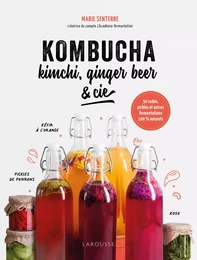 Kombucha, kimchi, ginger beer &amp; Cie