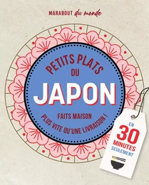 Petits plats Japonais en 30 minutes