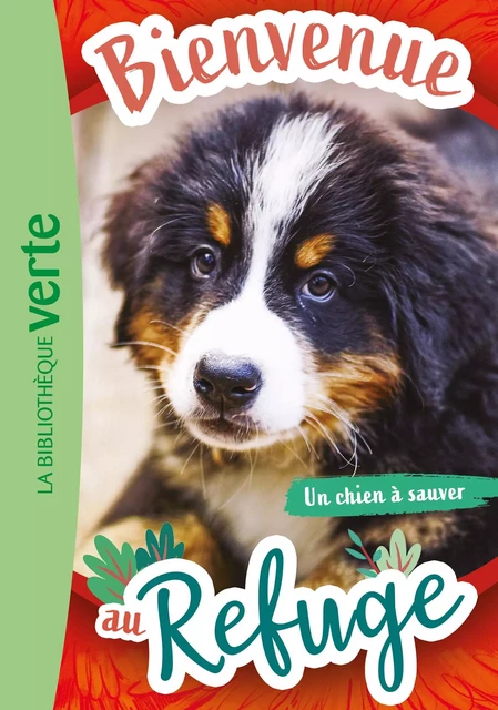 Bienvenue au refuge 02 - Un chien à sauver - Hachette Livre - Hachette Jeunesse