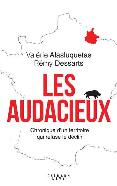 Les Audacieux - Valérie Alasluquetas, Rémy Dessarts - Calmann-Lévy