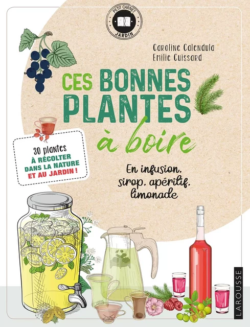 Ces bonnes plantes à boire -  Emilie Cuissard - Larousse