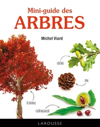 Mini-guide des arbres