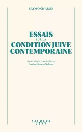 Essai sur la condition juive contemporaine