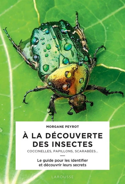 A la découverte des insectes - Morgane Peyrot - Larousse