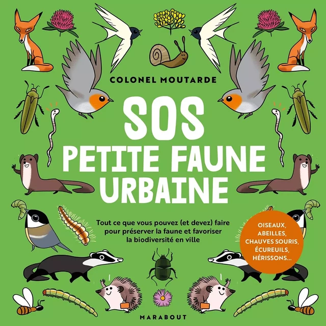 Connaître et protéger la petite faune urbaine -  - Marabout