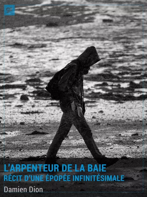 L'Arpenteur de la Baie - Damien Dion - Gravitons