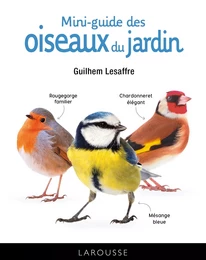 mini-guide des oiseaux du jardin