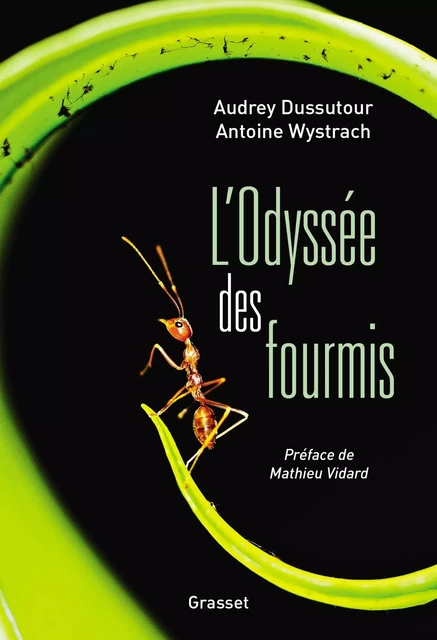 L'Odyssée des fourmis - Audrey Dussutour, Antoine Wystrach - Grasset