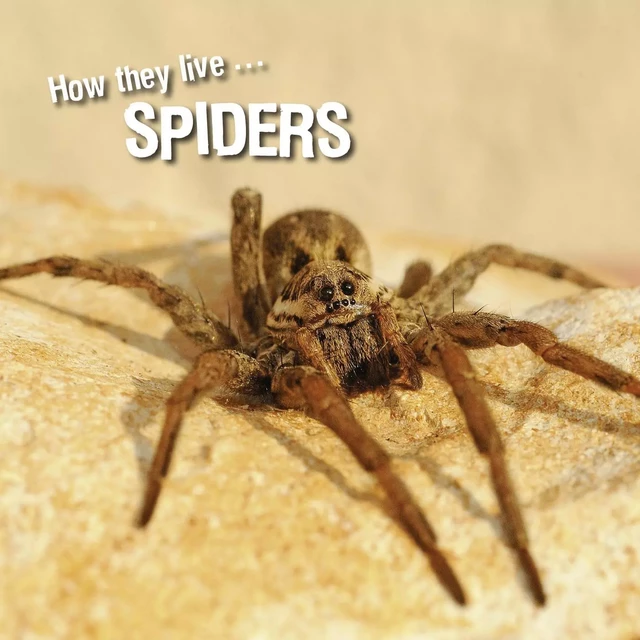 How they live... Spiders - David Withrington, Ivan Esenko - Okaši